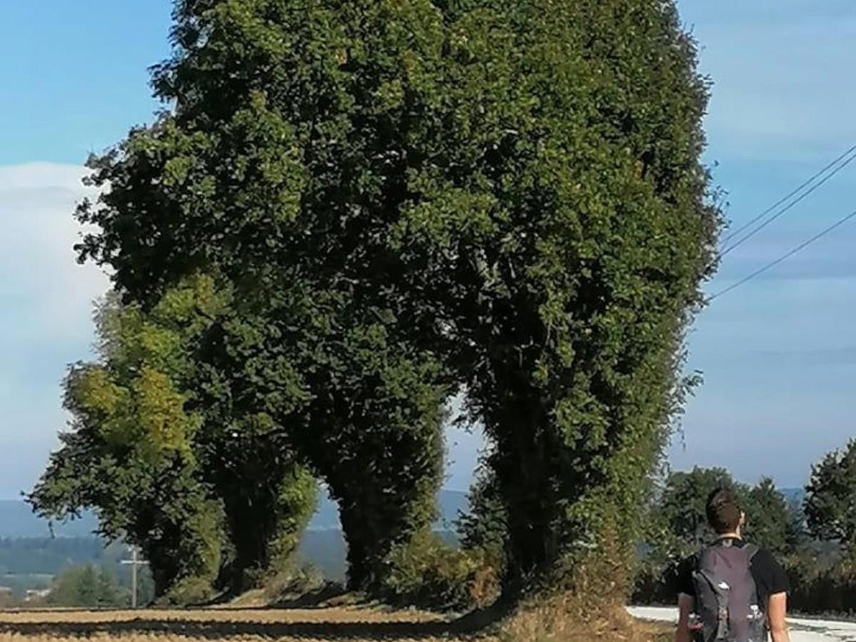 Gite En Campagne Renove Avec Cheminee, Grands Jardins, Wifi, Pres D'Un Village Medieval. - Fr-1-410-334 Moitron-sur-Sarthe Exteriör bild