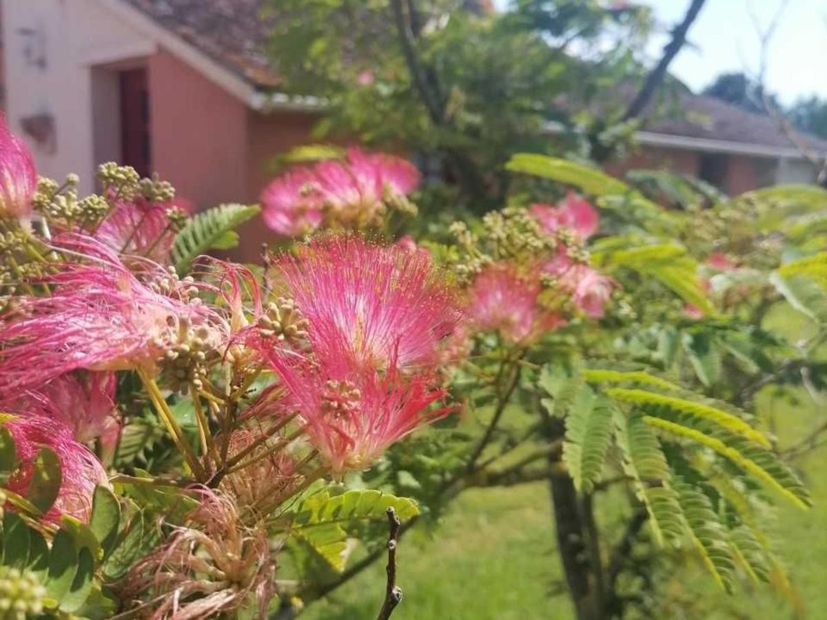 Gite En Campagne Renove Avec Cheminee, Grands Jardins, Wifi, Pres D'Un Village Medieval. - Fr-1-410-334 Moitron-sur-Sarthe Exteriör bild