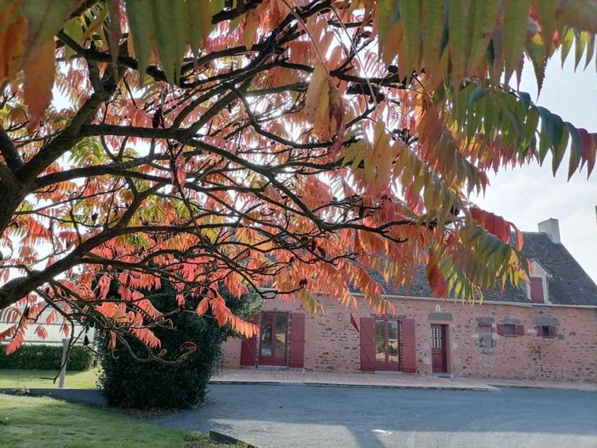 Gite En Campagne Renove Avec Cheminee, Grands Jardins, Wifi, Pres D'Un Village Medieval. - Fr-1-410-334 Moitron-sur-Sarthe Exteriör bild